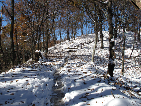 20161125hike (205)